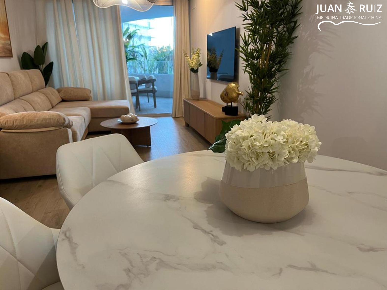 feng-shui-granada-empresas-medicina-china-granada-04