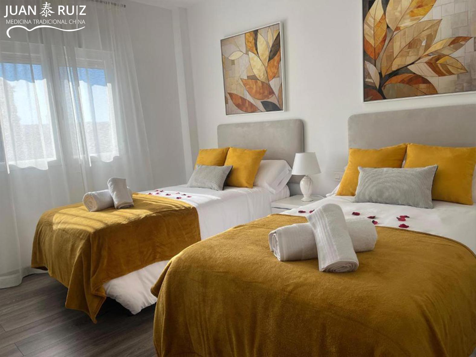 feng-shui-granada-empresas-medicina-china-granada-08