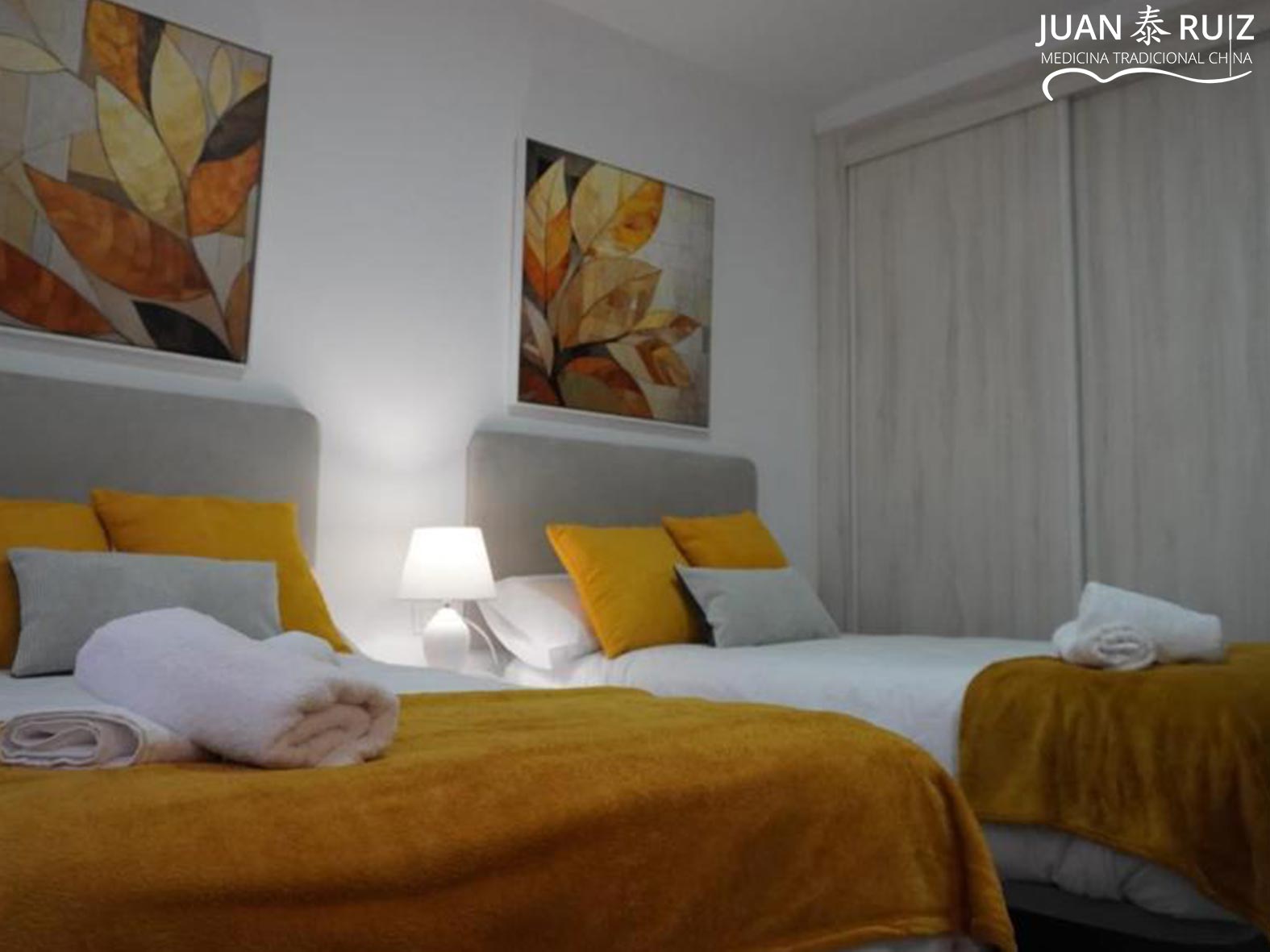 feng-shui-granada-empresas-medicina-china-granada-11